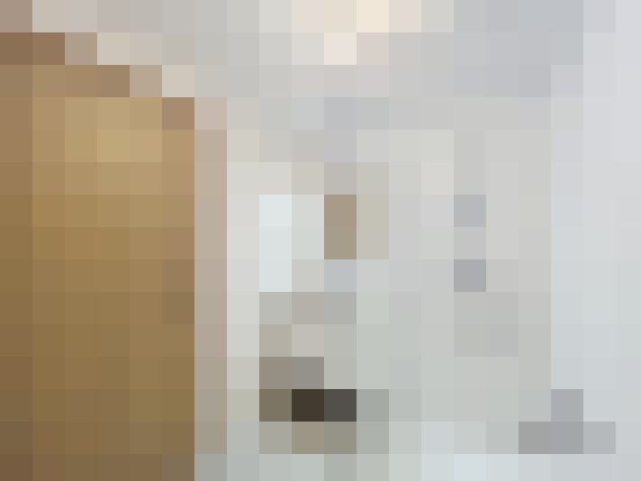  / #20