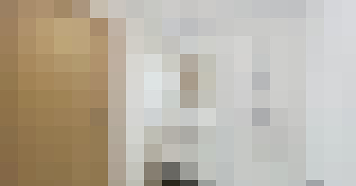  / #19