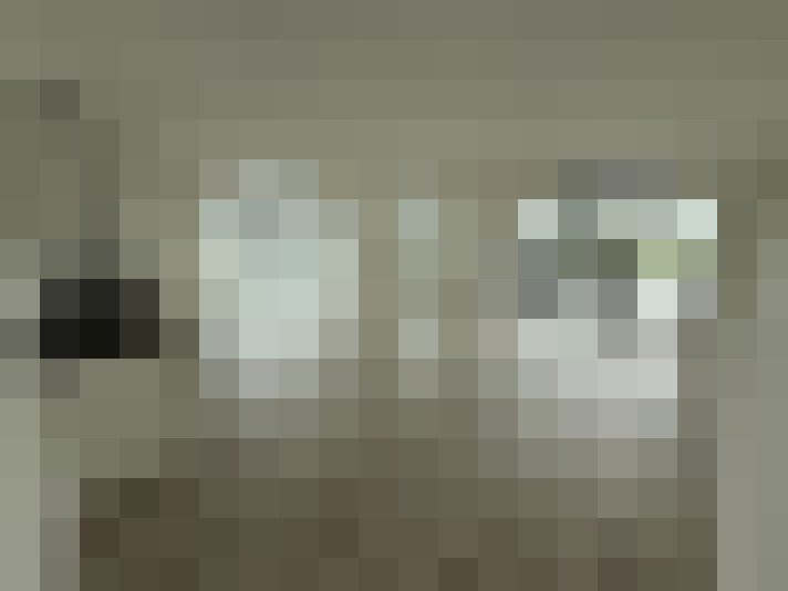  / #15
