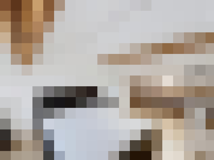  / #22
