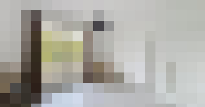  / #16