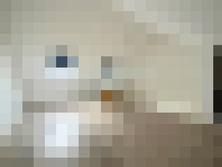  / #24