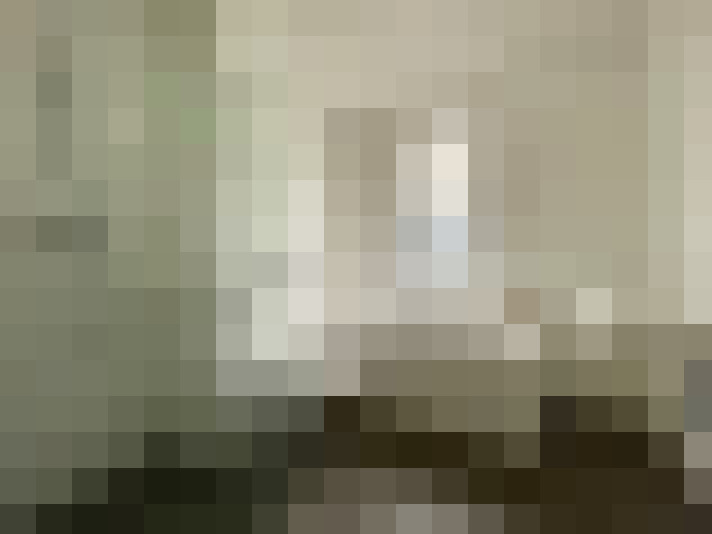  / #19