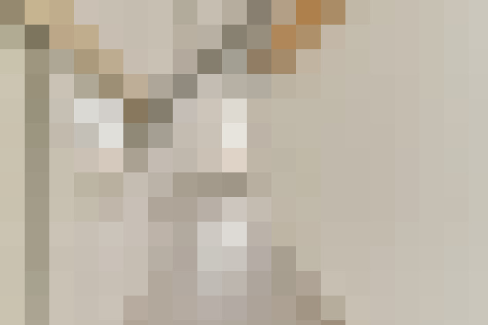  / #19