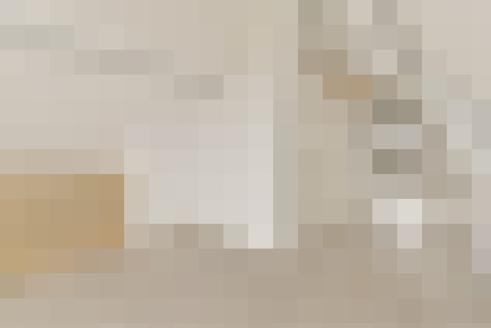  / #20