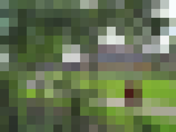  / #22