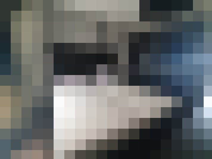  / #19