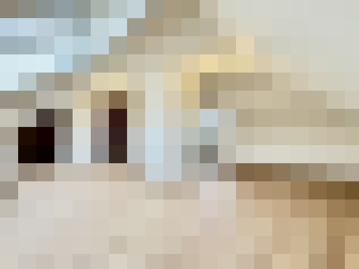  / #17