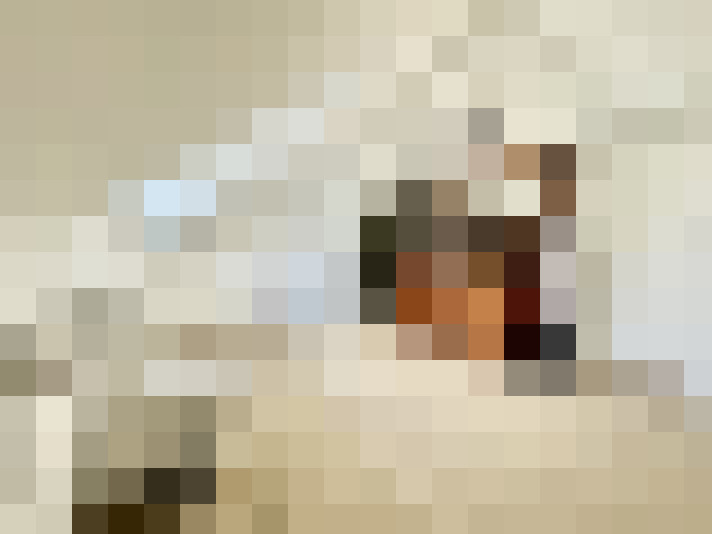  / #19