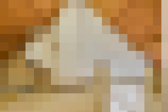  / #24