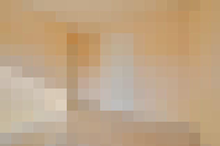  / #23