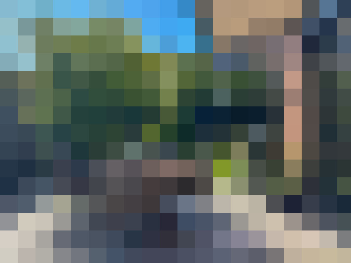  / #14