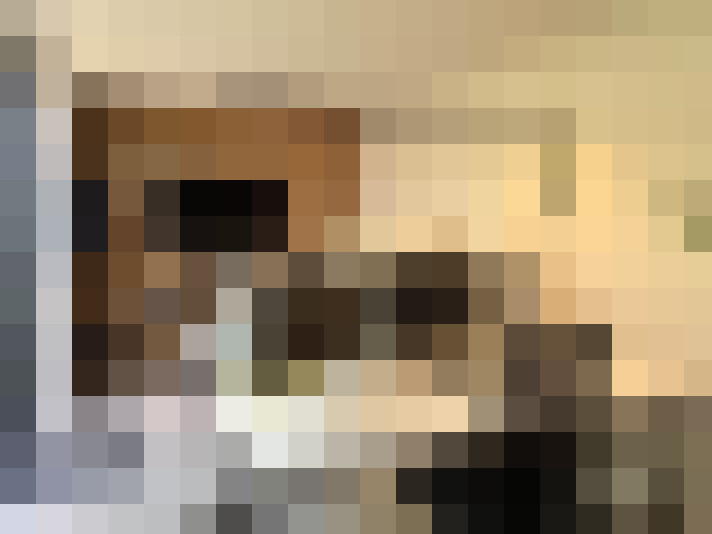  / #18