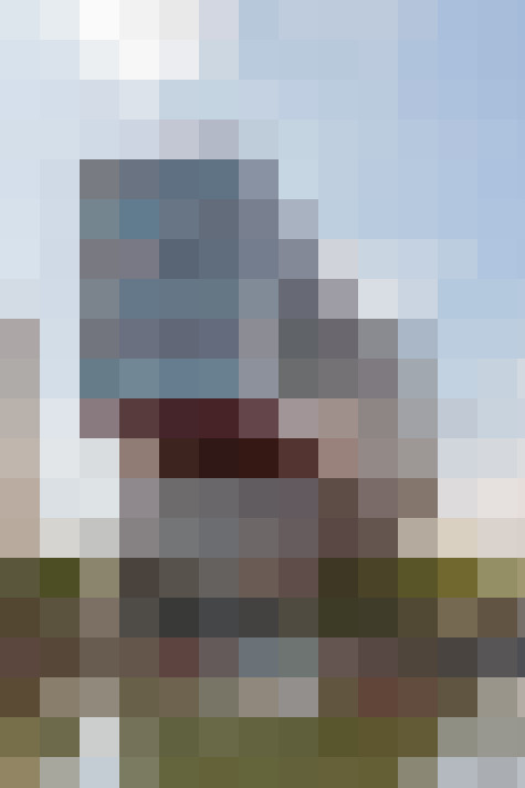 / #16