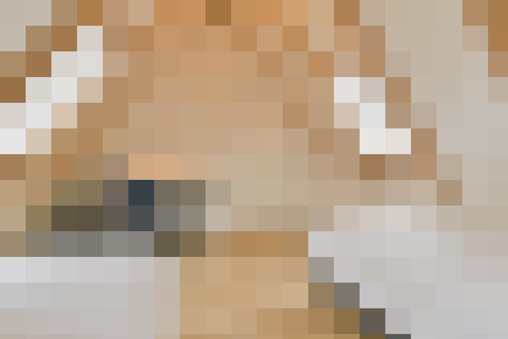  / #20