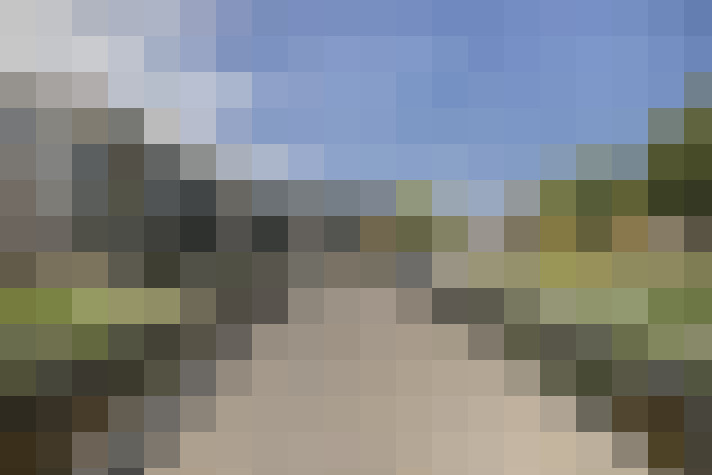 / #17