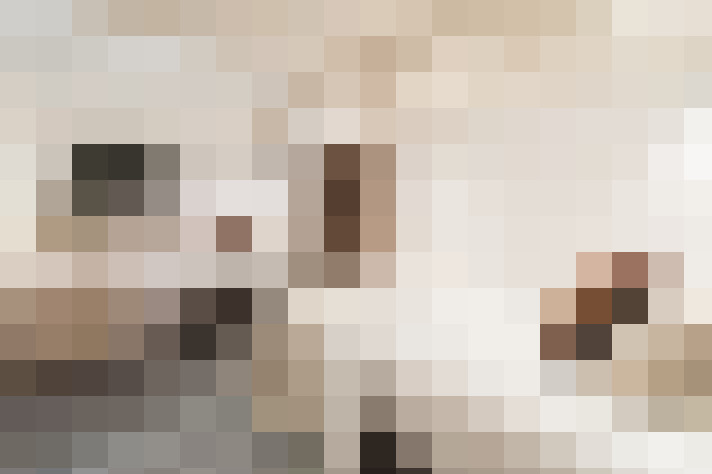  / #17