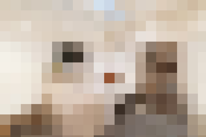  / #19