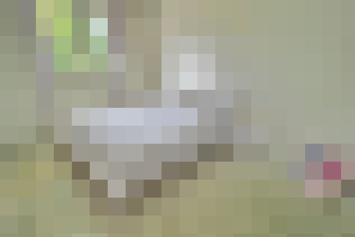  / #11
