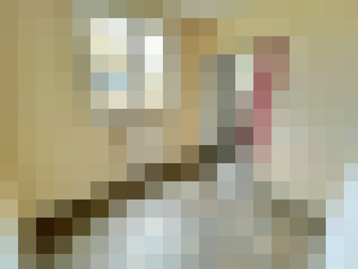  / #7