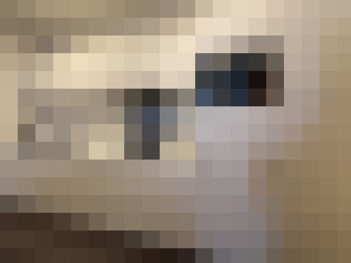  / #7