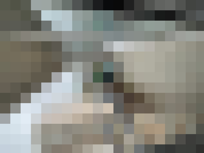  / #21