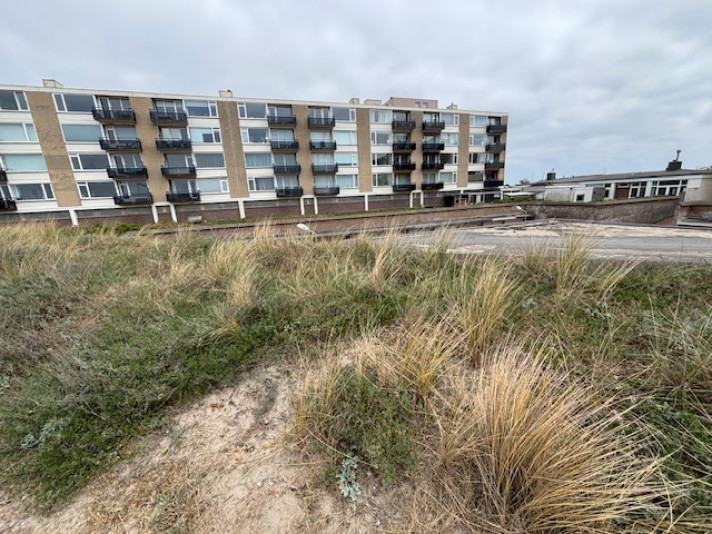 Bekijk foto 1/32 van apartment in Zandvoort