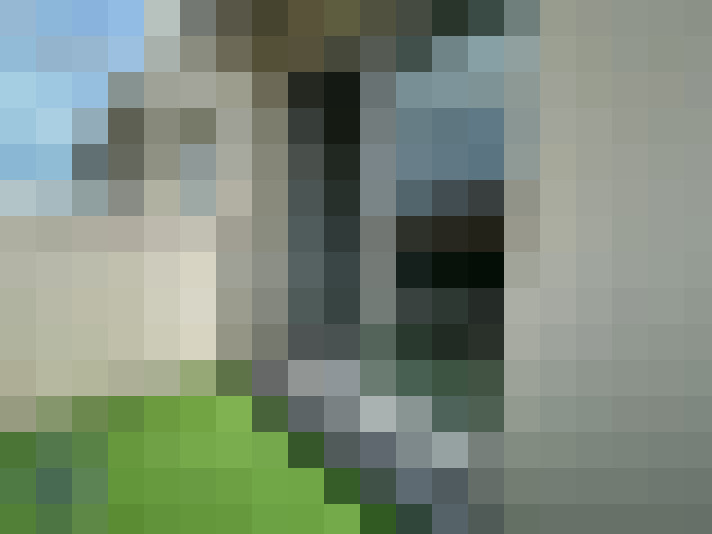  / #15