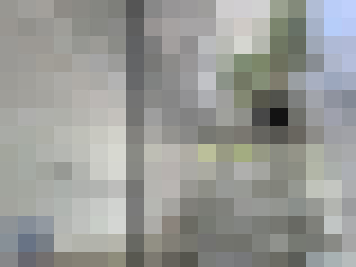 / #16