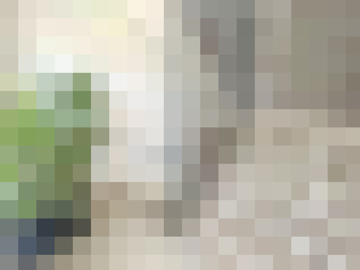  / #17