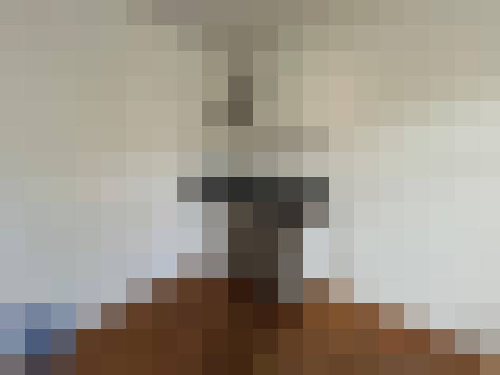  / #15