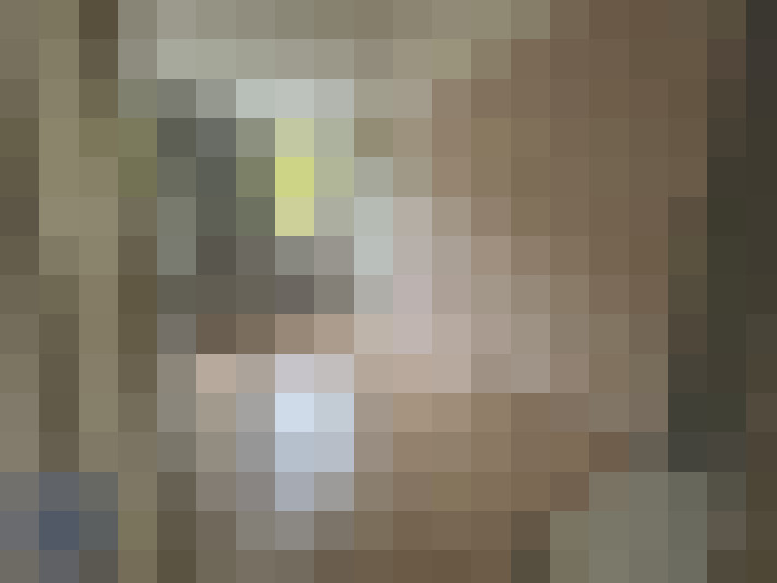  / #19