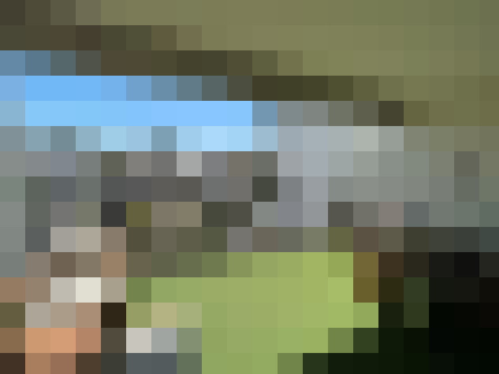  / #7