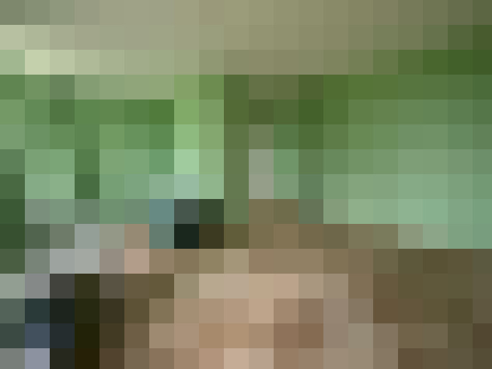  / #16