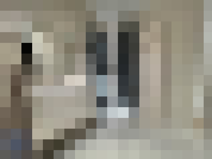  / #15