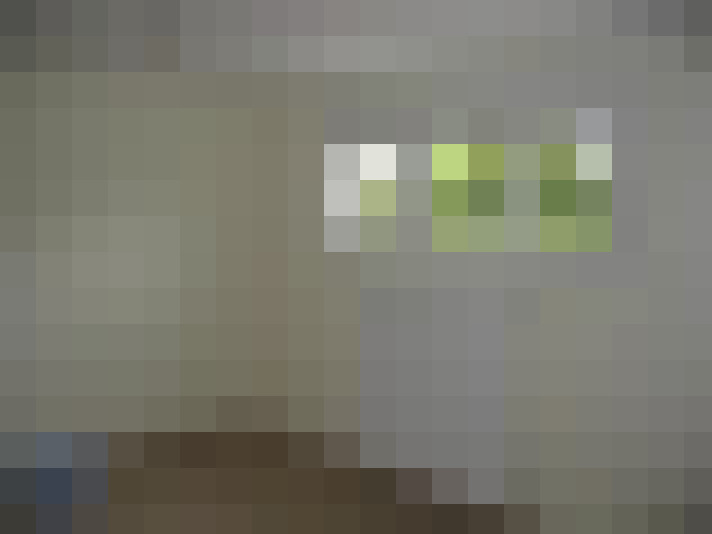 / #7