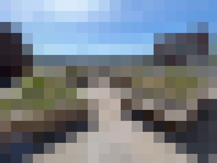  / #15