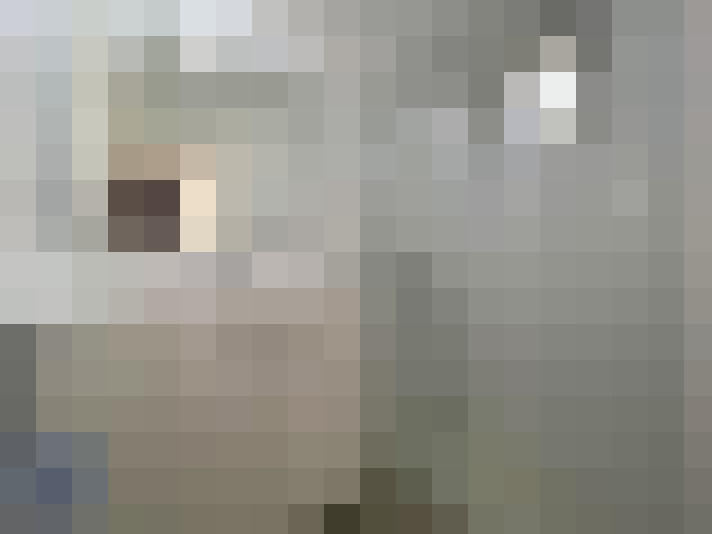  / #17