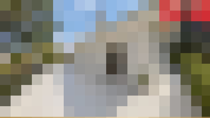  / #15