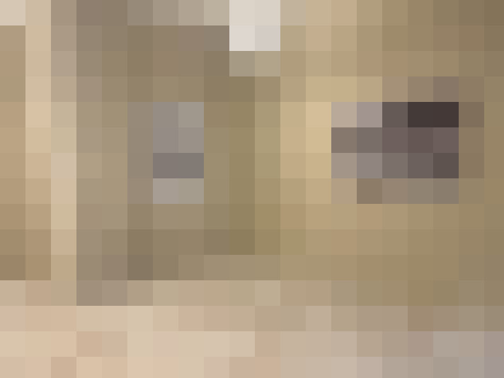  / #16