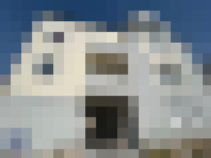  / #11