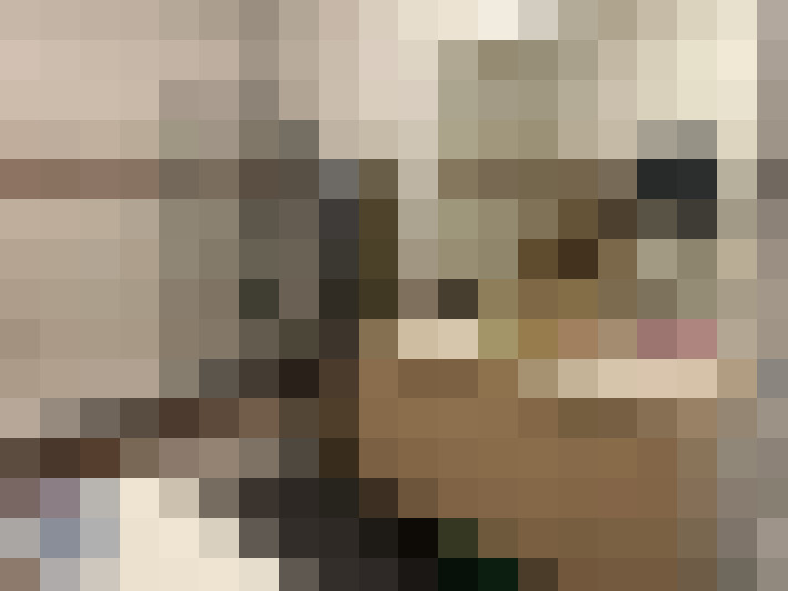  / #15