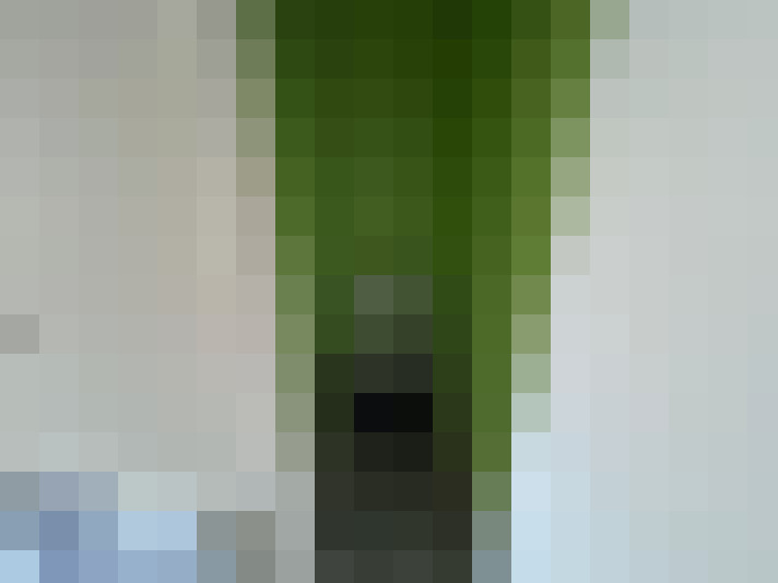  / #11