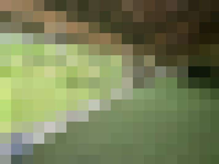 / #11