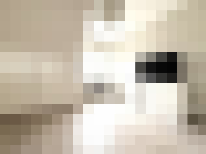 / #9