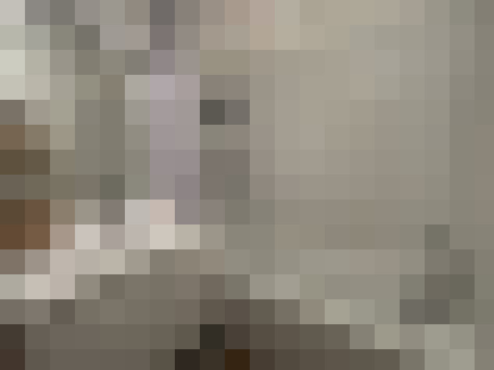  / #17