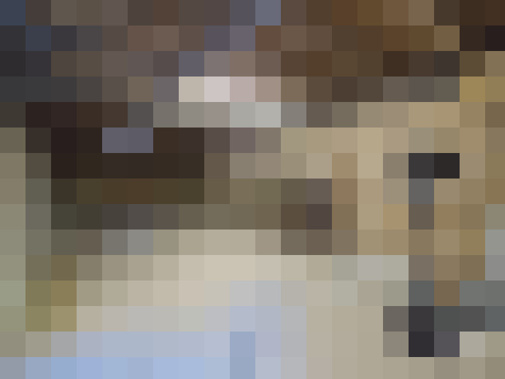  / #15