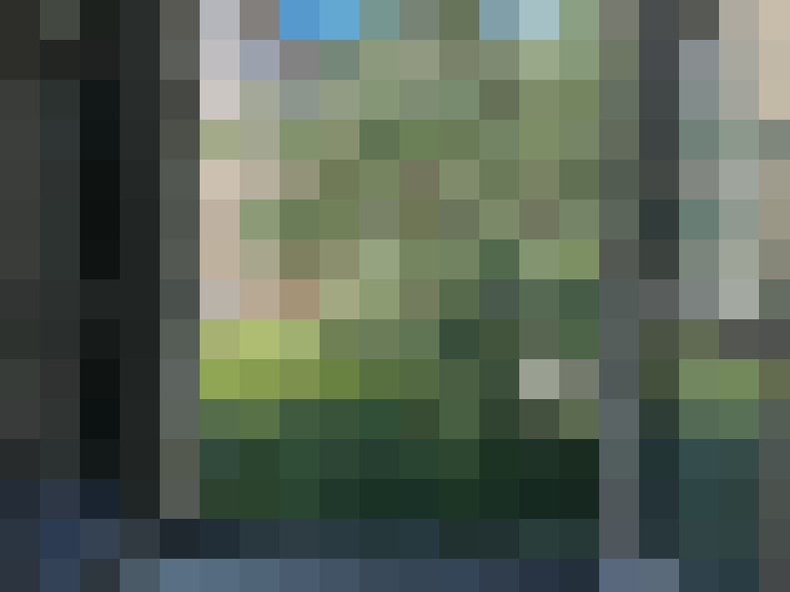  / #7