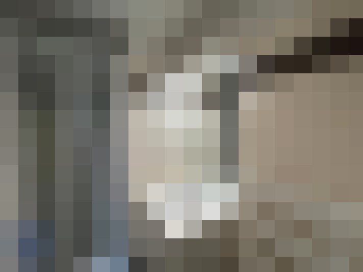  / #19