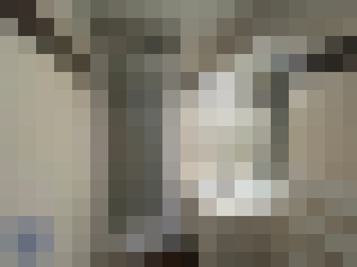  / #24